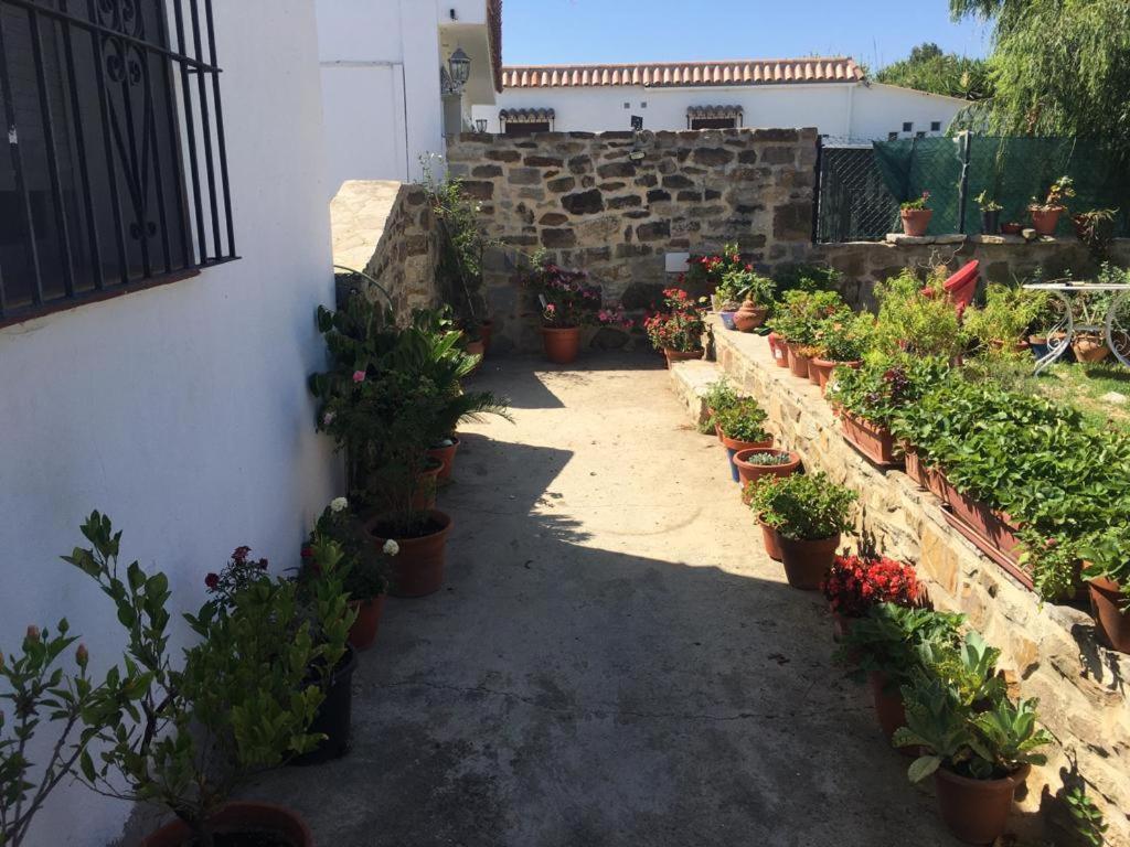 Apartamento Las Adelfas Tarifa Exteriör bild